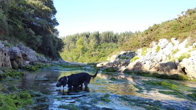 Apartamento Rural Lago Enol Onís Εξωτερικό φωτογραφία