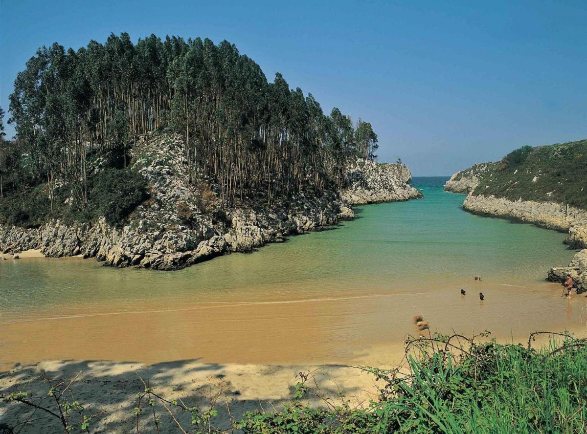 Apartamento Rural Lago Enol Onís Εξωτερικό φωτογραφία